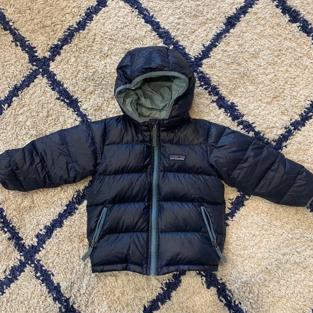 Patagonia Hi-Loft Down Sweater Hoody